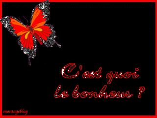 C koa le bonheur ?????????