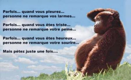 un truc un peu plus marant !! ^^